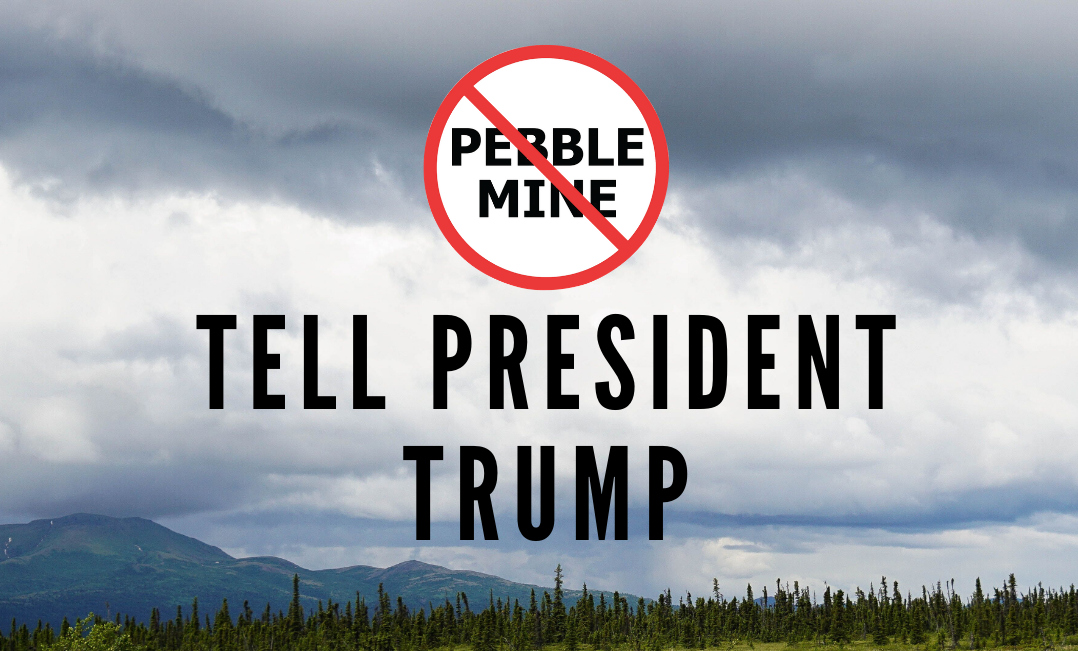 Bristol Bay Sign-on Letter &amp; Social Media Day of Action