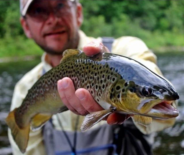 September Chapter Gathering