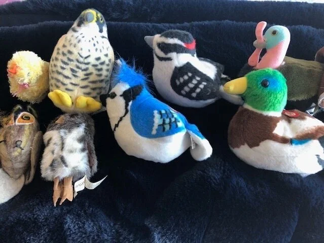 birds+%281%29.jpg