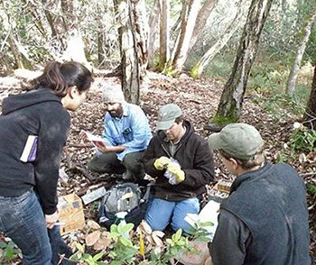 here’s me at The Outdoor Classroom Project training at UCSC https://www.ucsc.edu/