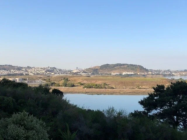 IMG_0007.jpg