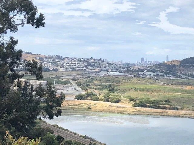 View of SF from “bee hill”