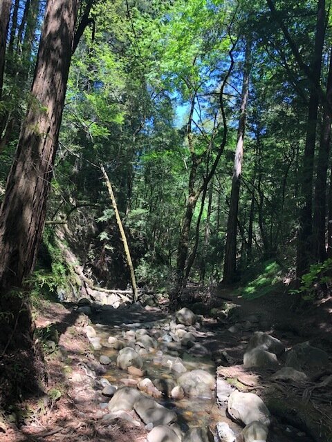 Creek bed that leads to the Ohlone grinding holes
