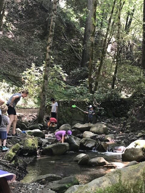 water play.jpg