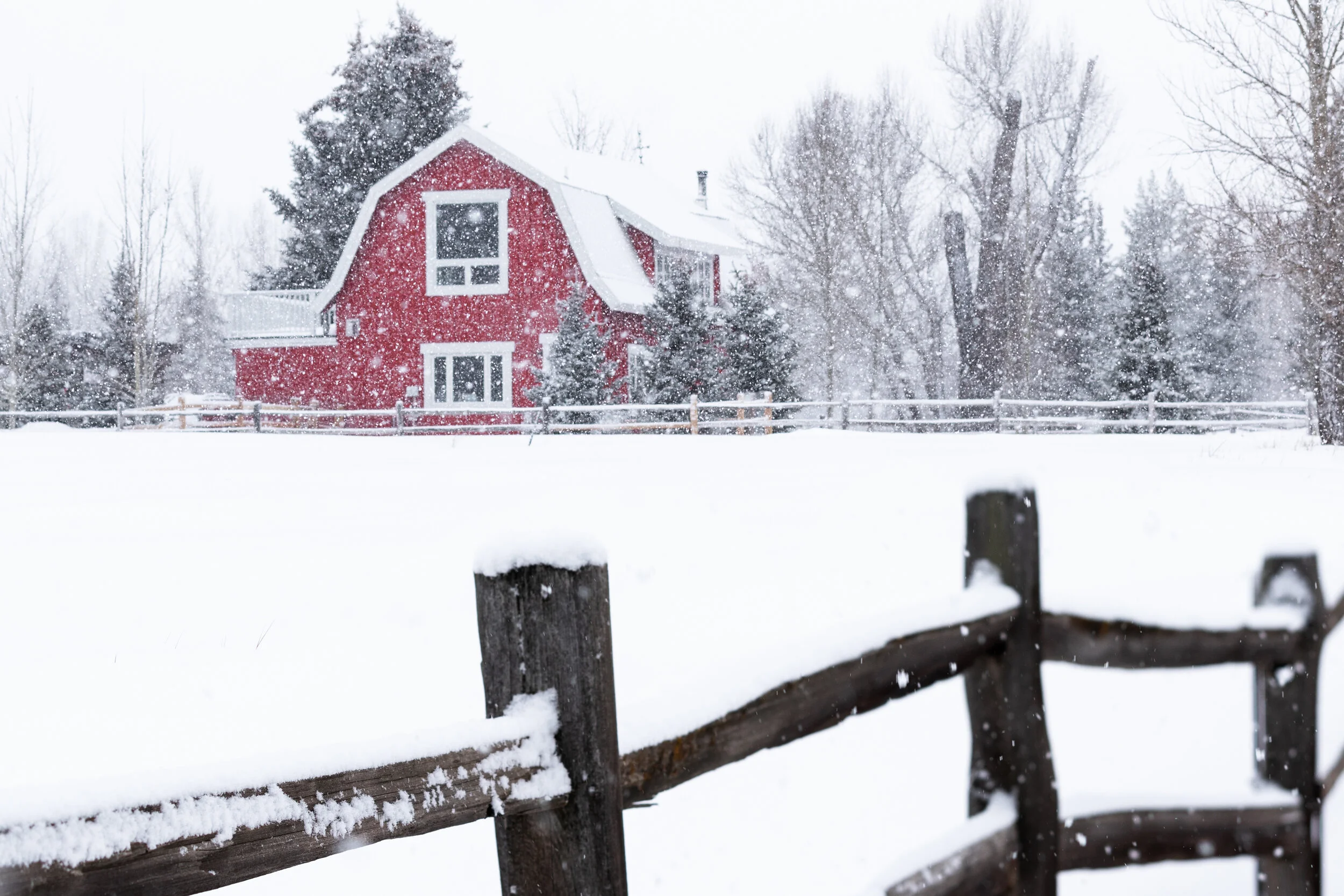 snow bbarn.jpg