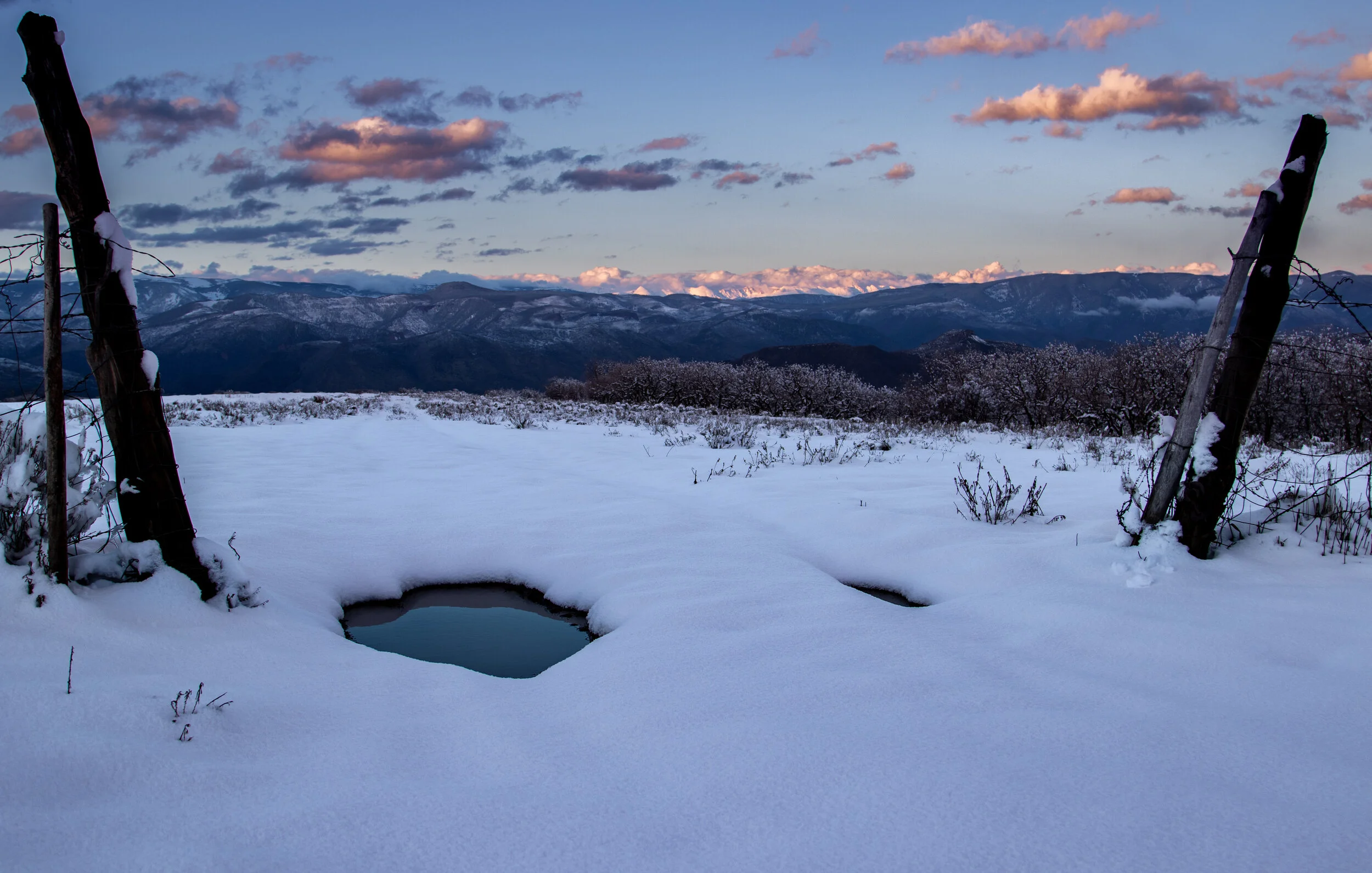 puddle in the winter.jpg