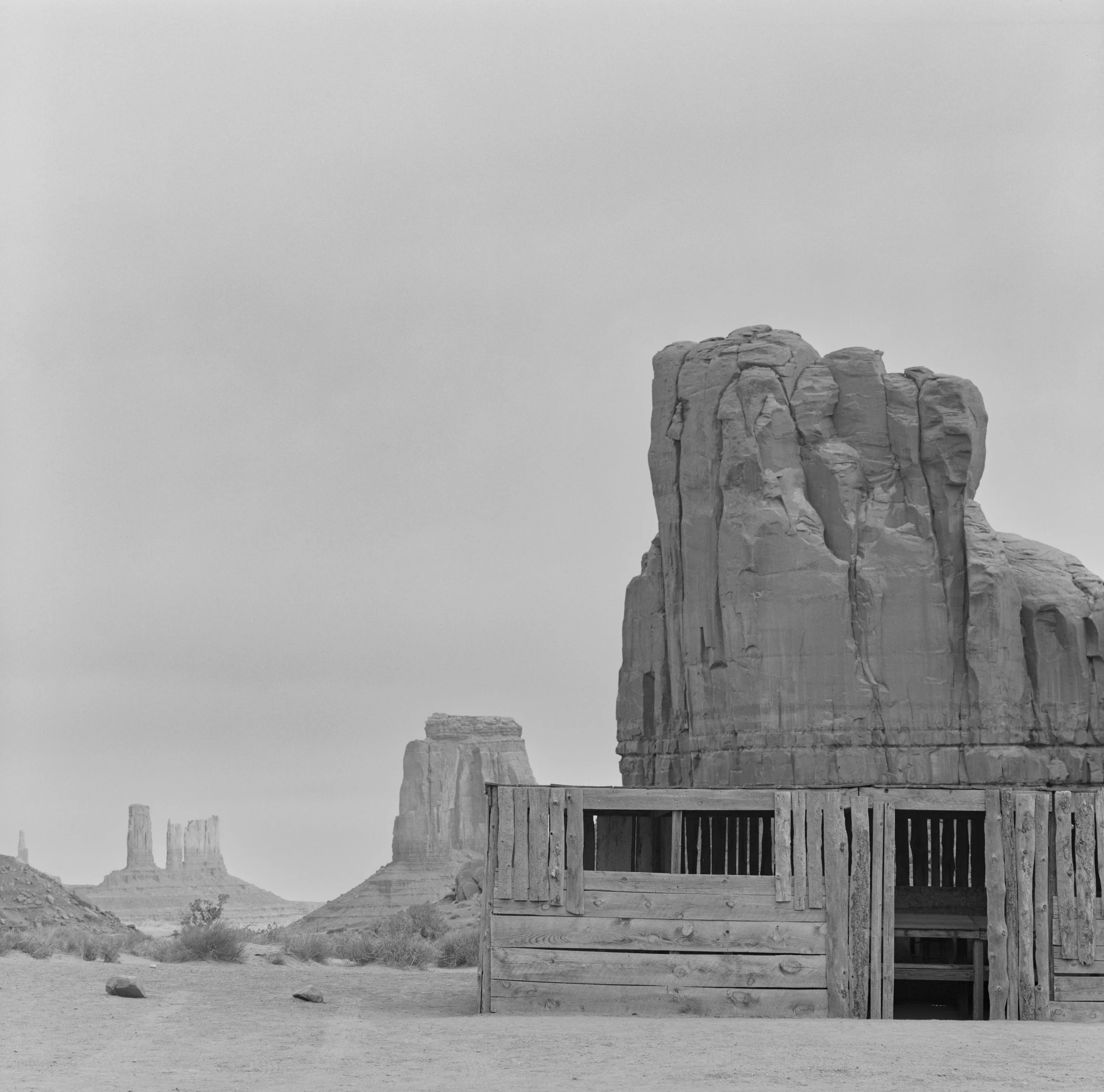 monument horse shade 2-Edit-2.jpg