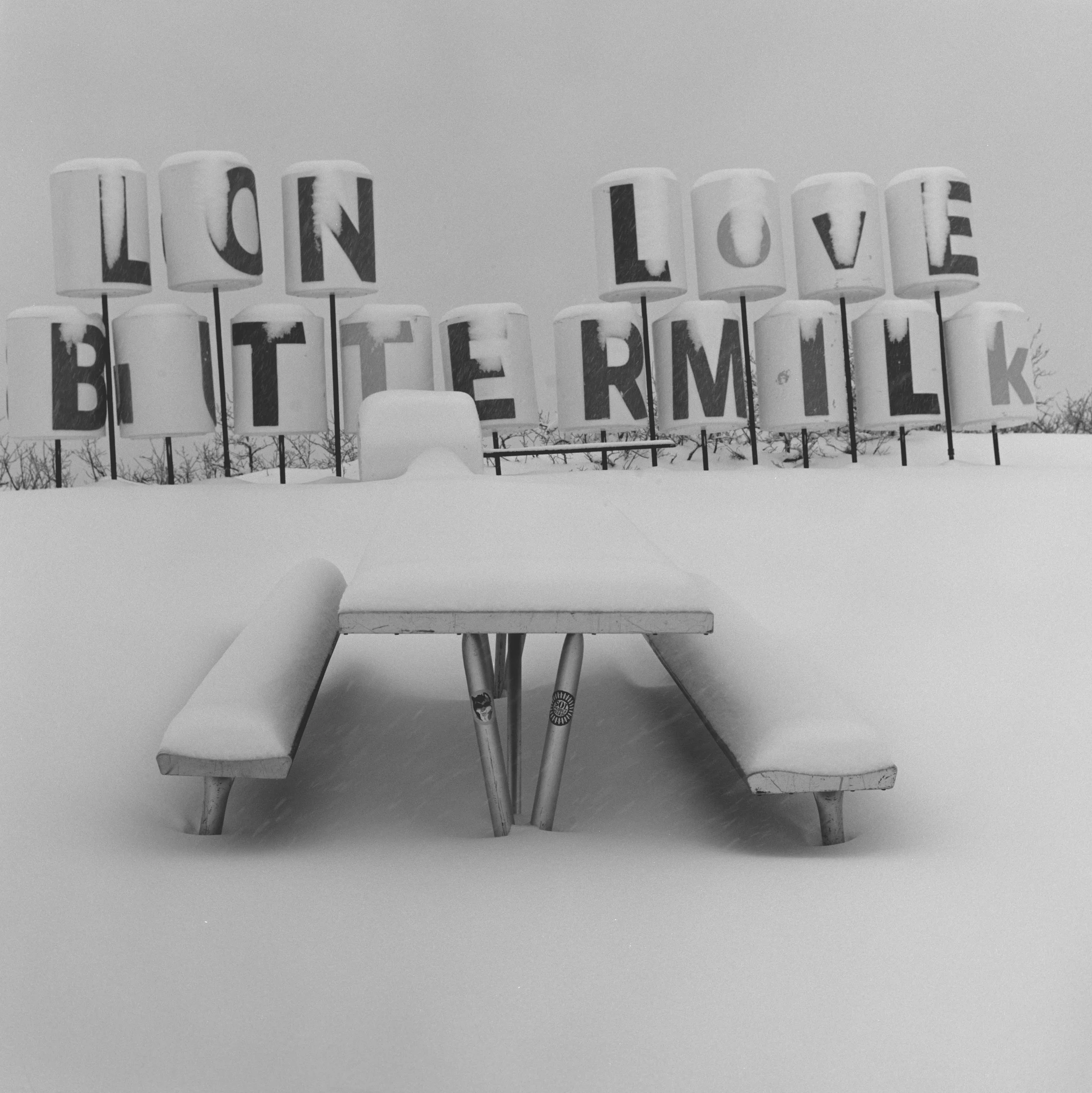long loive bm-Edit.jpg