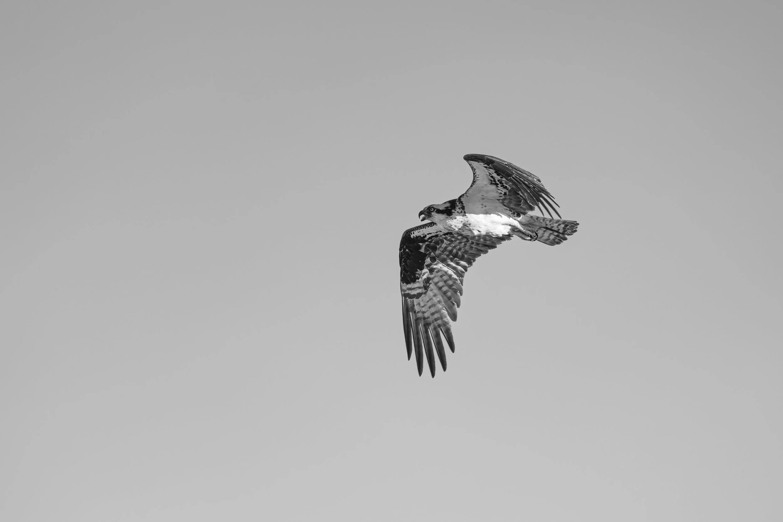 7G3A1353-Enhanced-NR.jpg