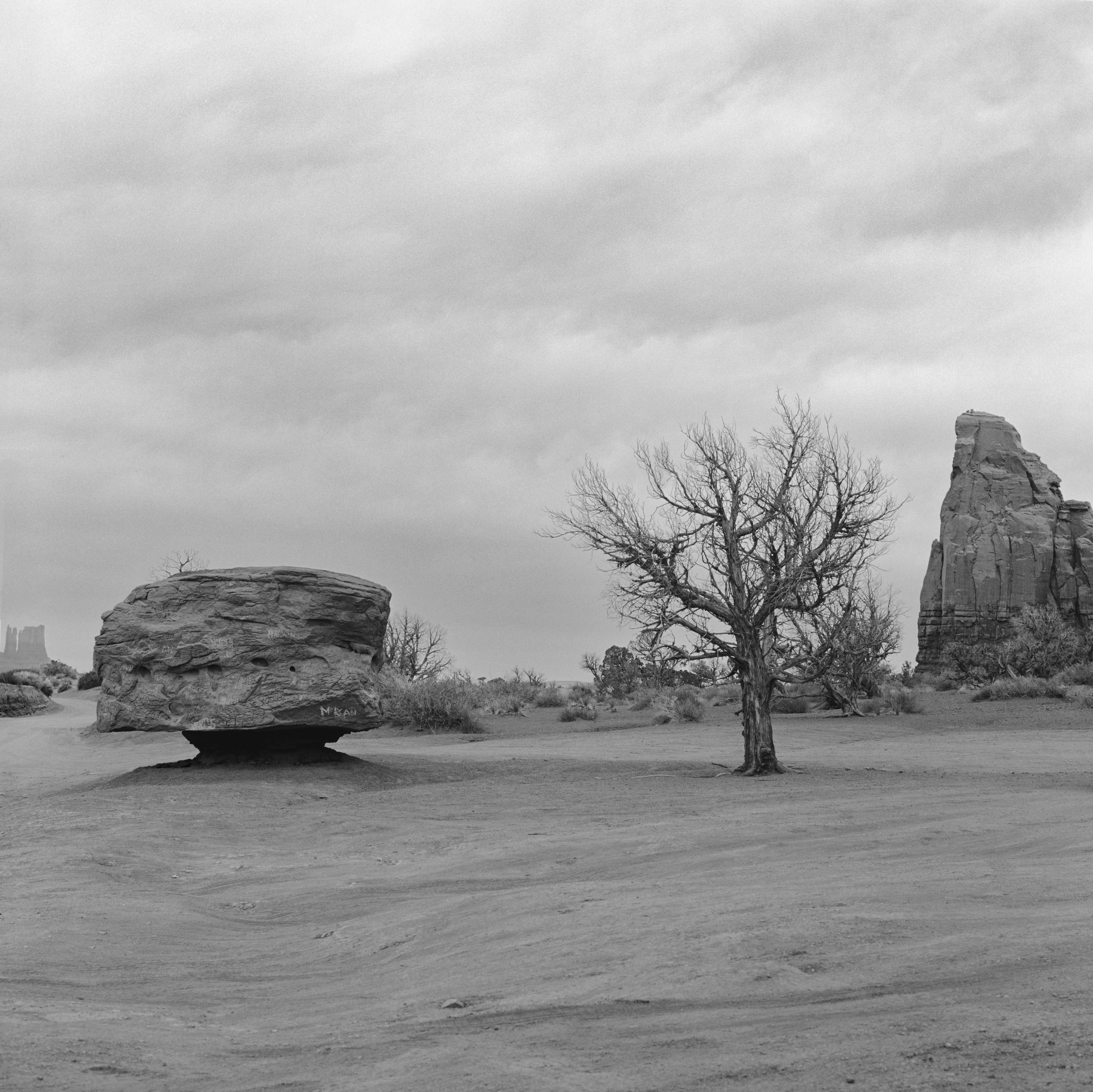 monument tree rock-Edit.jpg