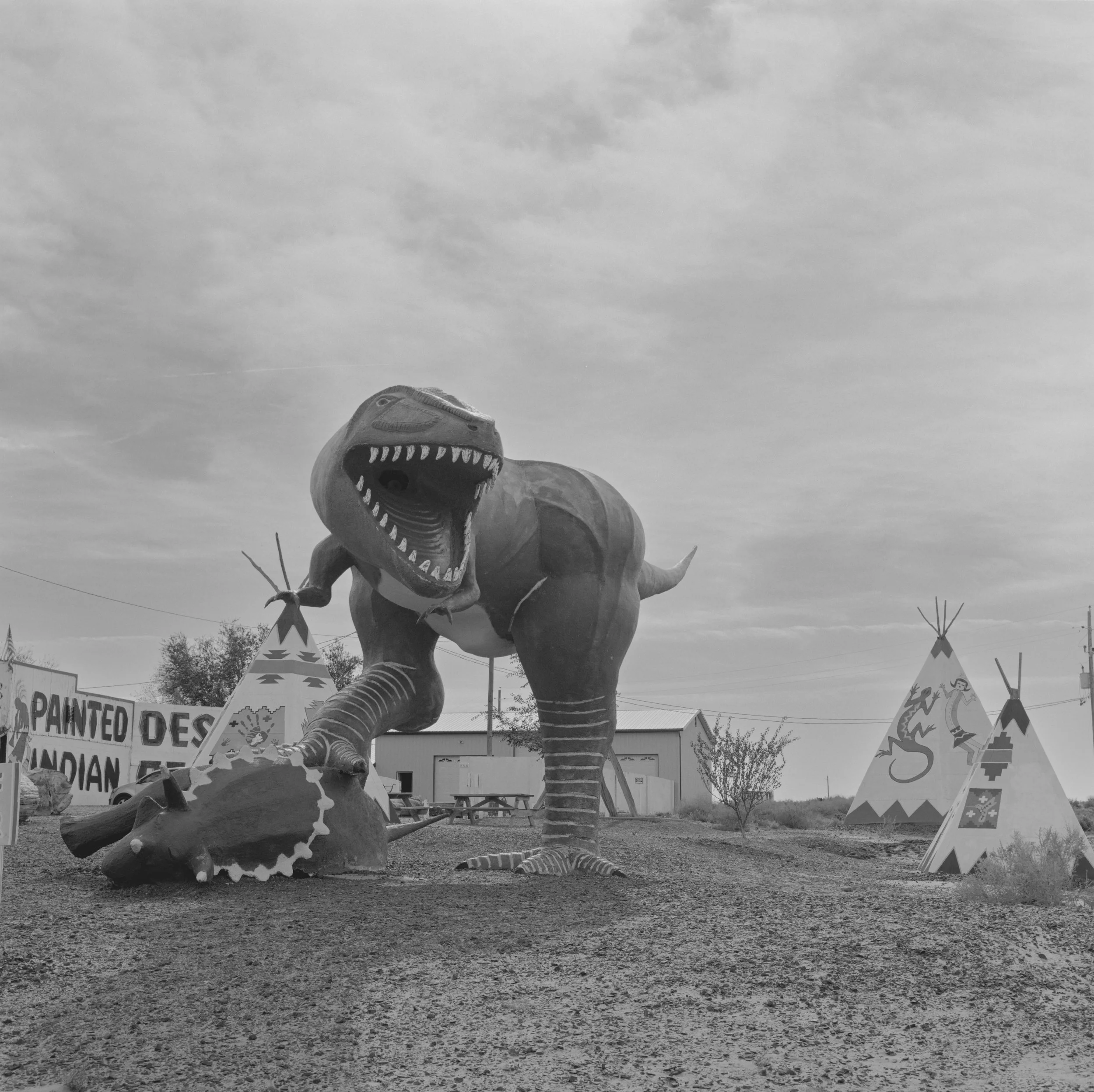 dino-Edit.jpg