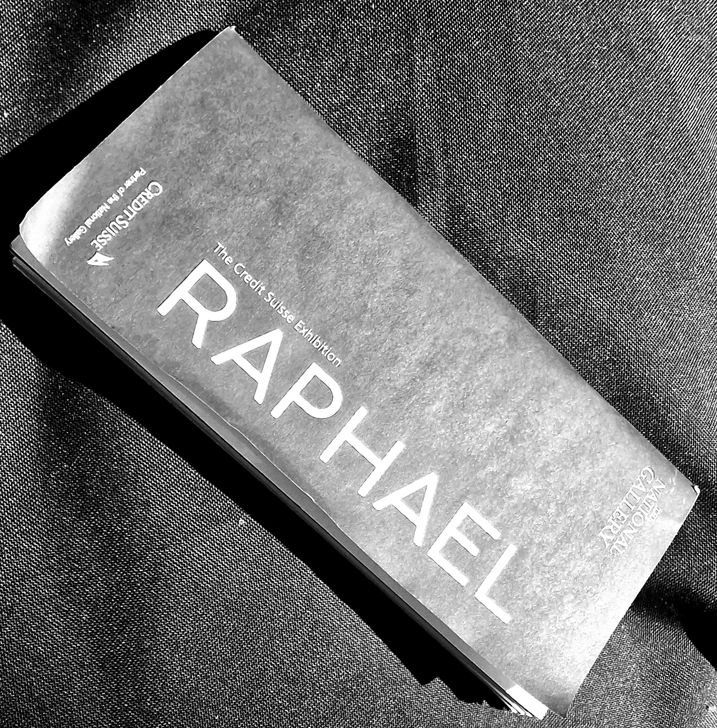 Raphael - Italian Master and Top Turtle