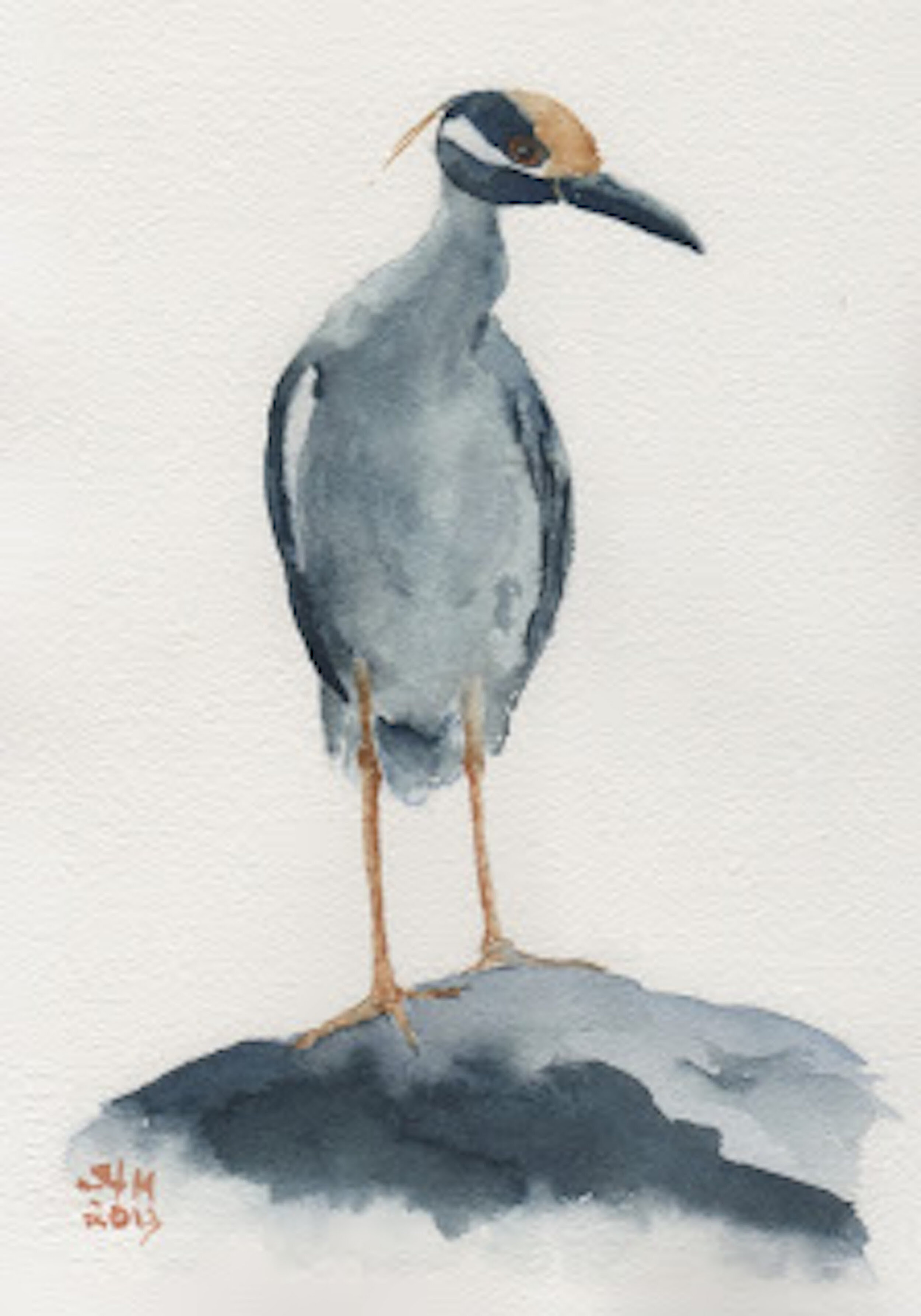 yellow-crowned-nIght-heron.jpeg