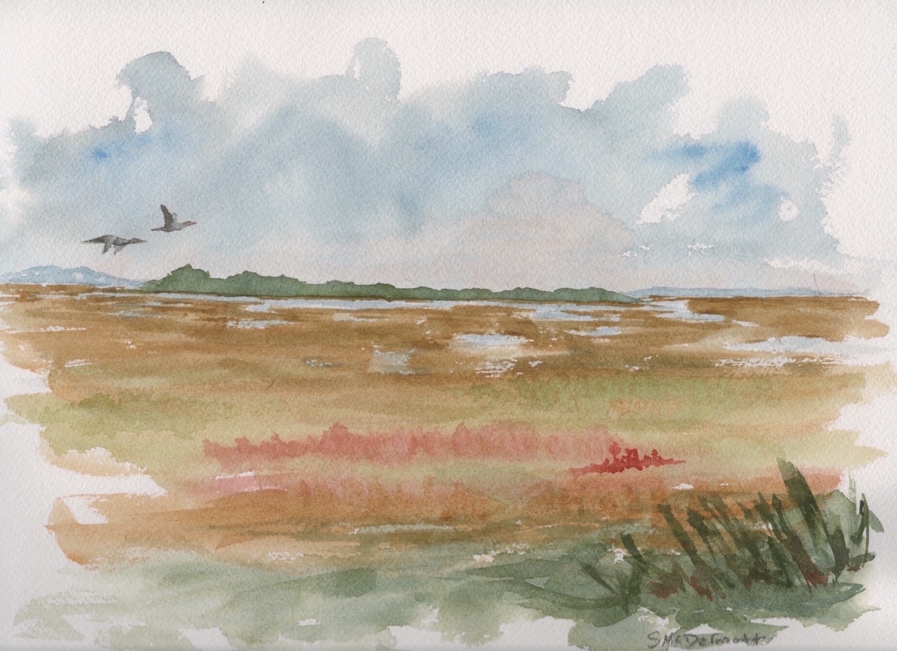 Saltmarsh 2