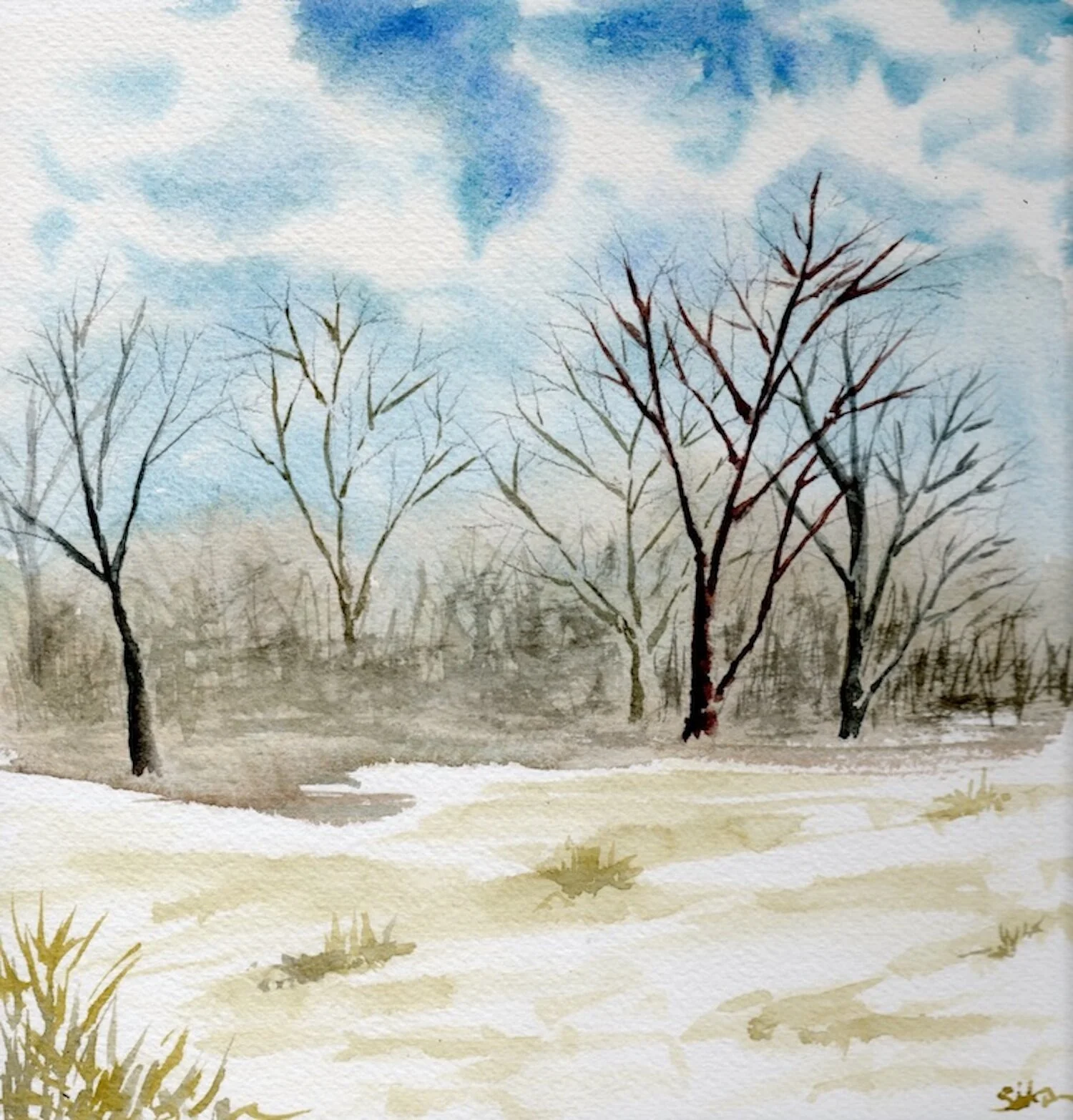winter-maples.jpeg