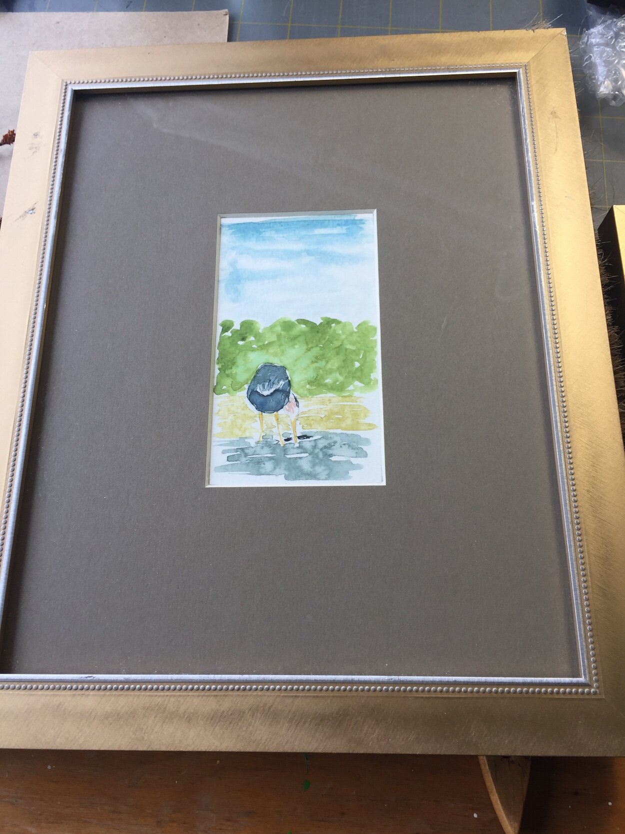 Great Blue Heron Feeding