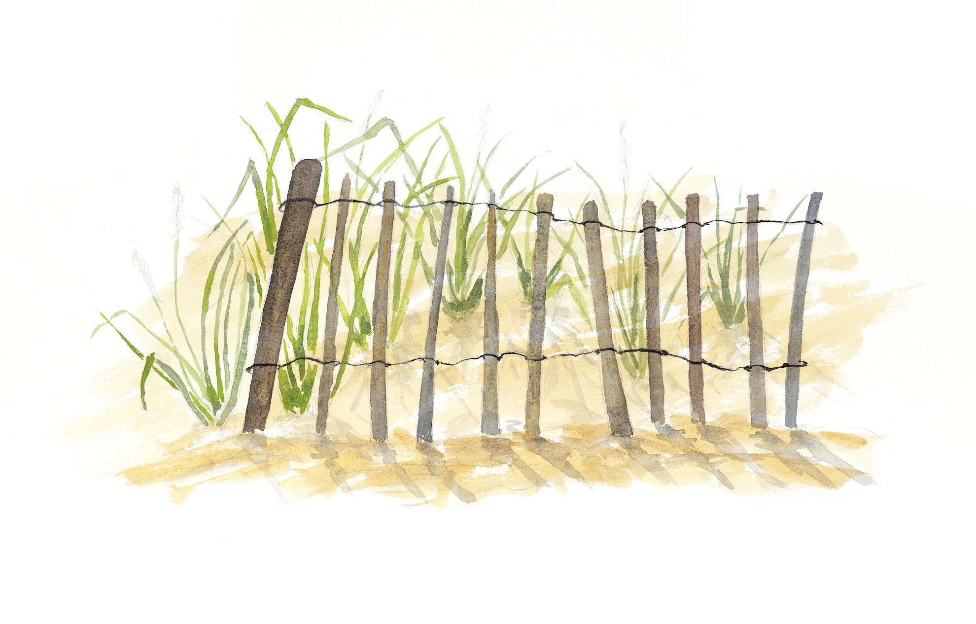 Beach Fence