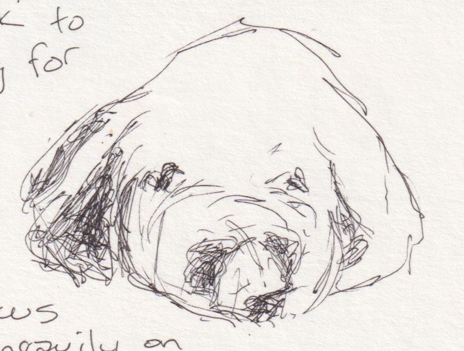 Brown Bear, Brown Bear, what do you see?