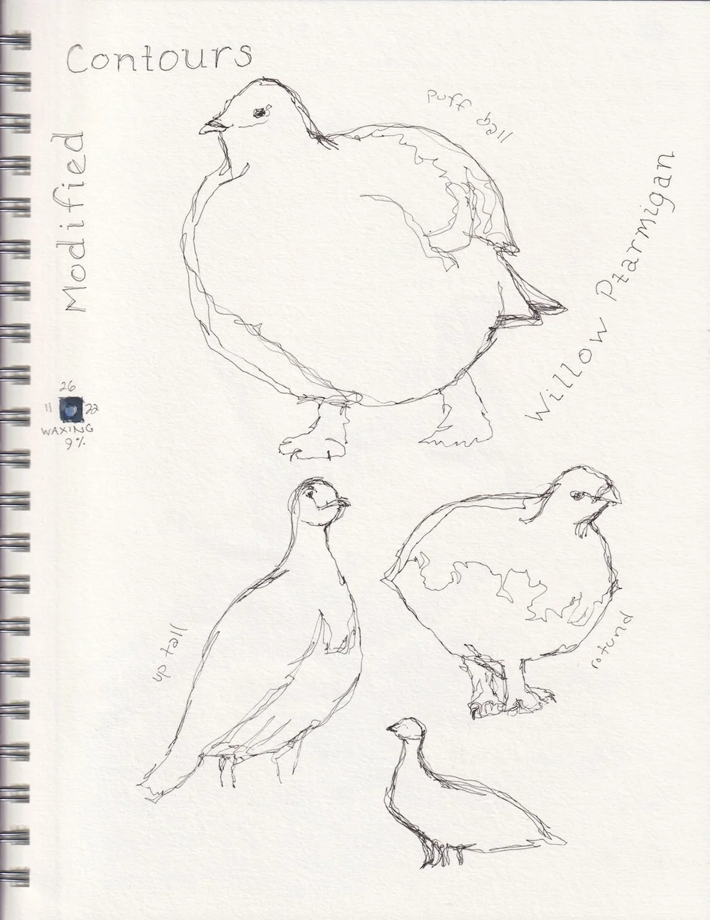 Ptarmagin Modified Contours.jpeg