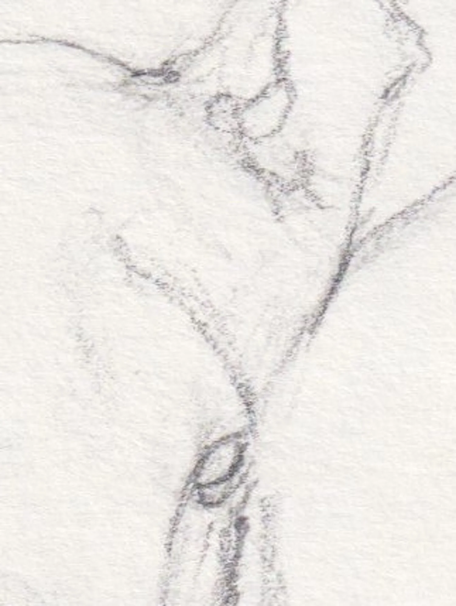 Time to Tackle A Moose!