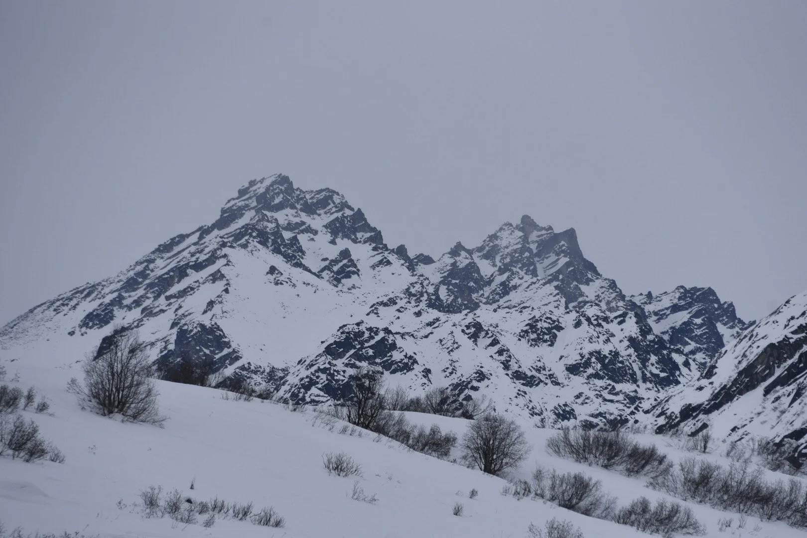 IMG_8264.JPG