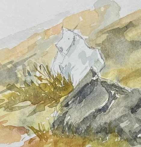 Goats and Berries