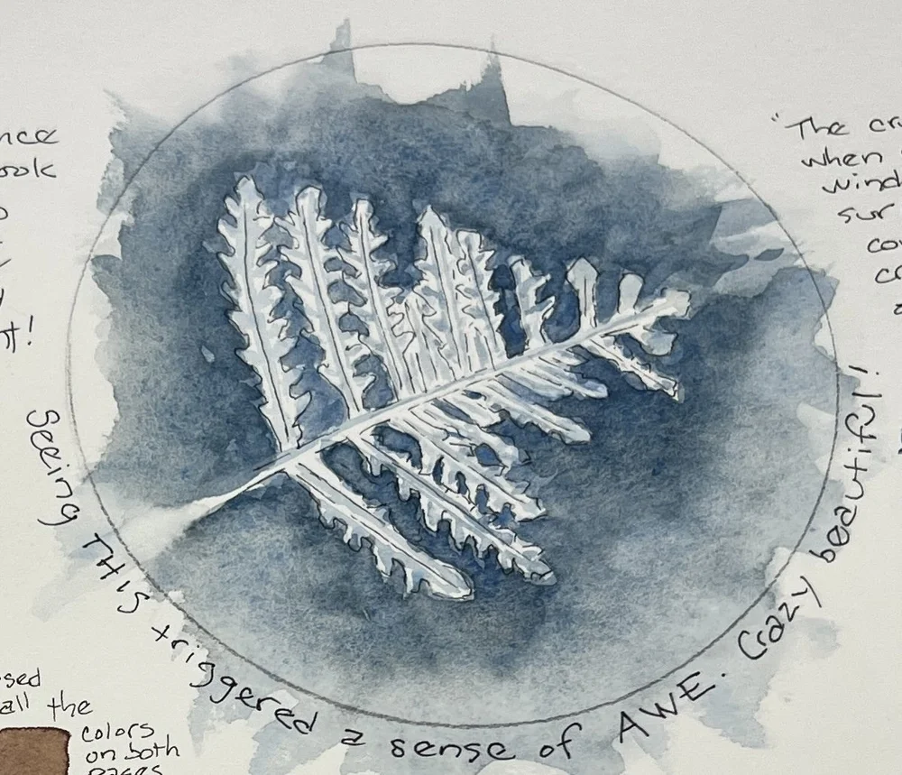 ice feather detail.jpeg