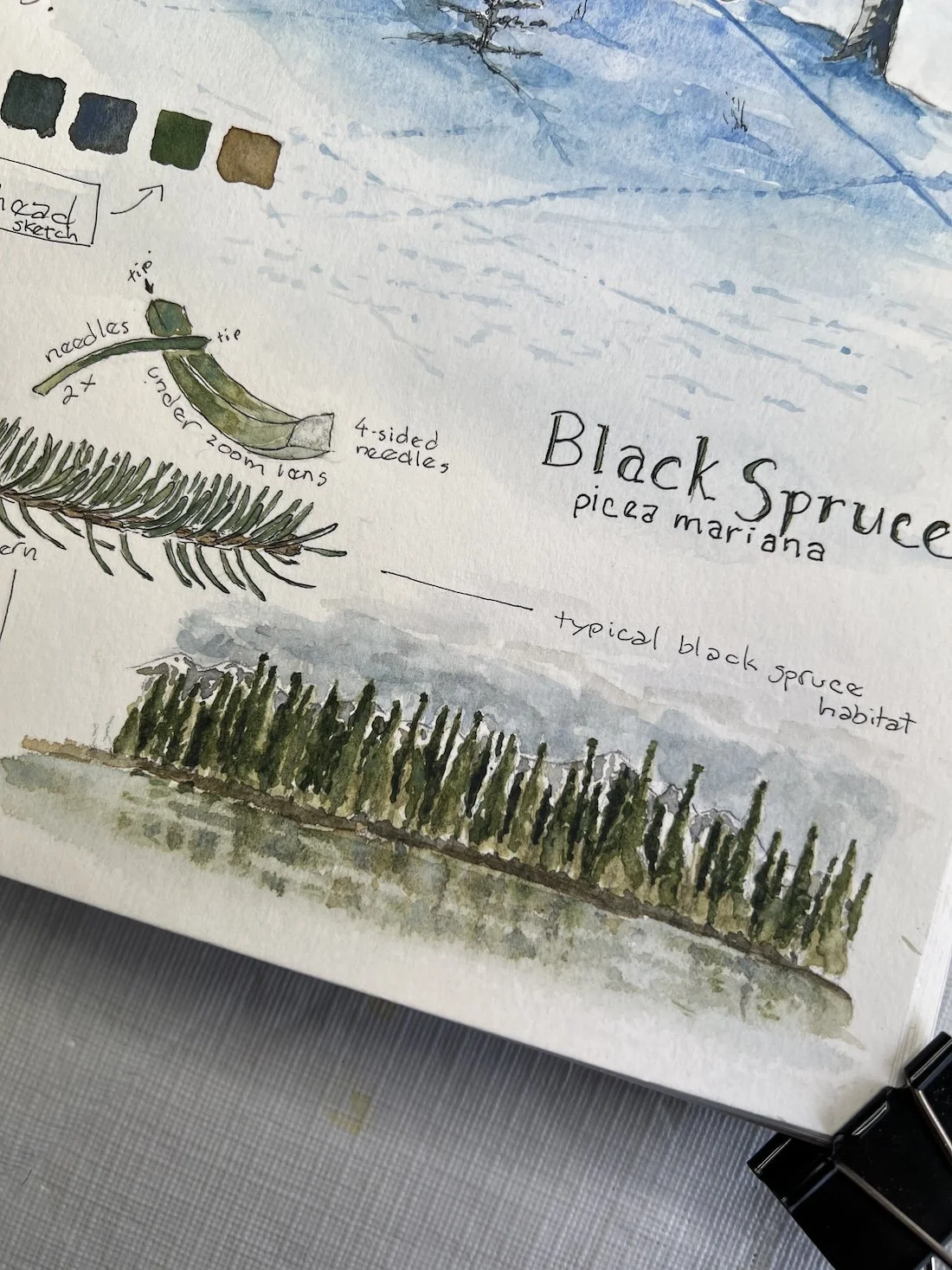 Salvaging A Failed Intention