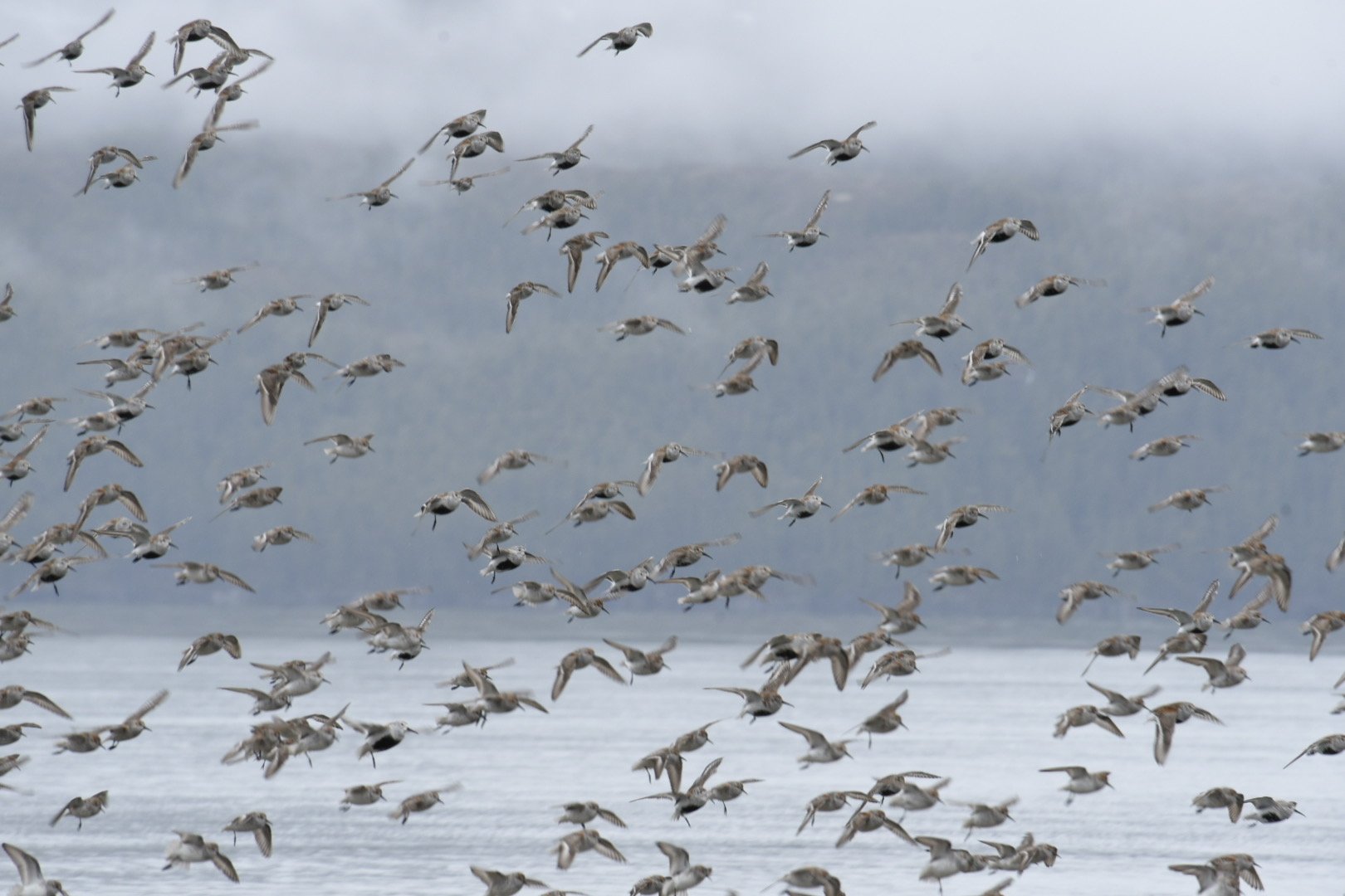 THIS is Why I Was There