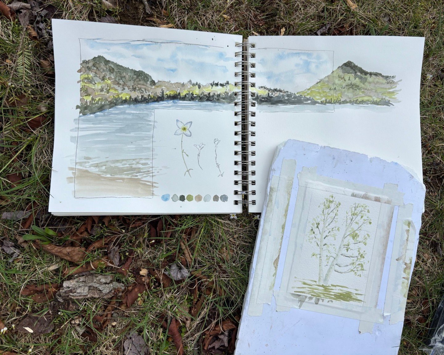 Field sketching at its most elemental.

Sometimes you end up sitting on the ground, journal spread across your knees, surrounded by nature. This lakeside spot was perfect for observing both the big picture and the small details - mountain reflections