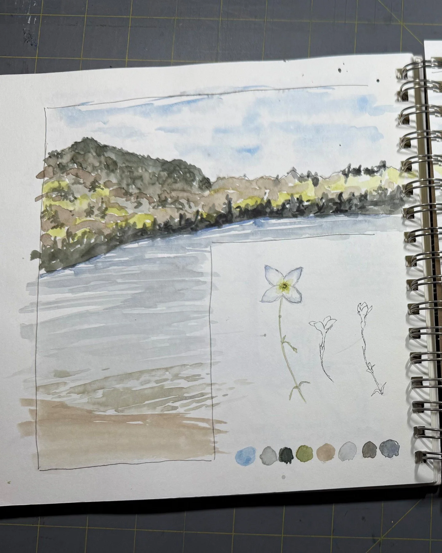 New Hampshire lake study - one of many journal pages that went unfinished the day I worked on it. This summer was packed with teaching travel and program marketing, leaving little time for finishing work that started in the field.⠀
⠀
But that's chang