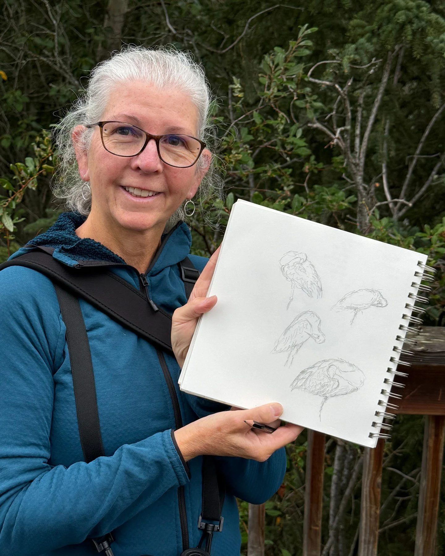 Sandhill crane documentation - these magnificent birds demand patience and careful observation. Unlike quick gesture sketches, their size and grace require studying form, behavior, and the subtle postural differences that reveal what they're doing.
