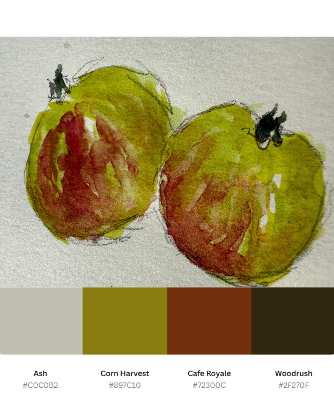 Color theory from the teaching studio - these young apples revealed a palette I hadn't consciously noticed before painting them. From that soft ashwood gray in the shadows to the surprising depth of cafe royale where light transitions to form.
What