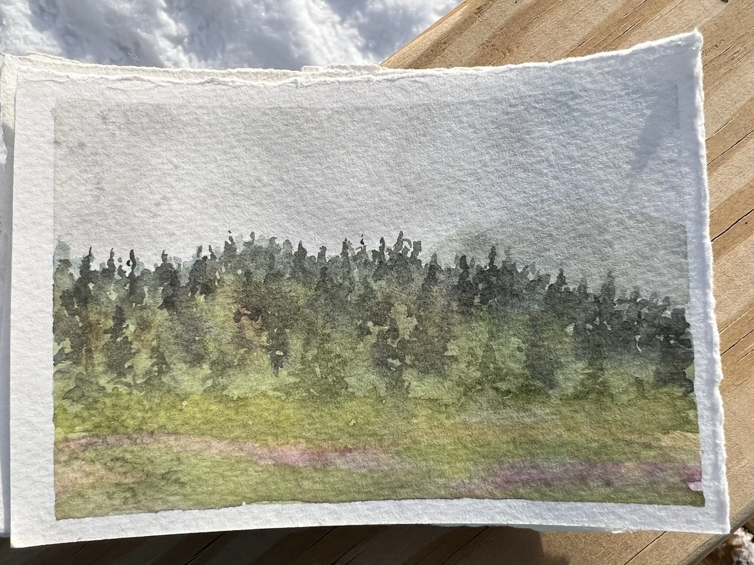 Ray E. Storck Homestead Park 1 Anchorage, AK