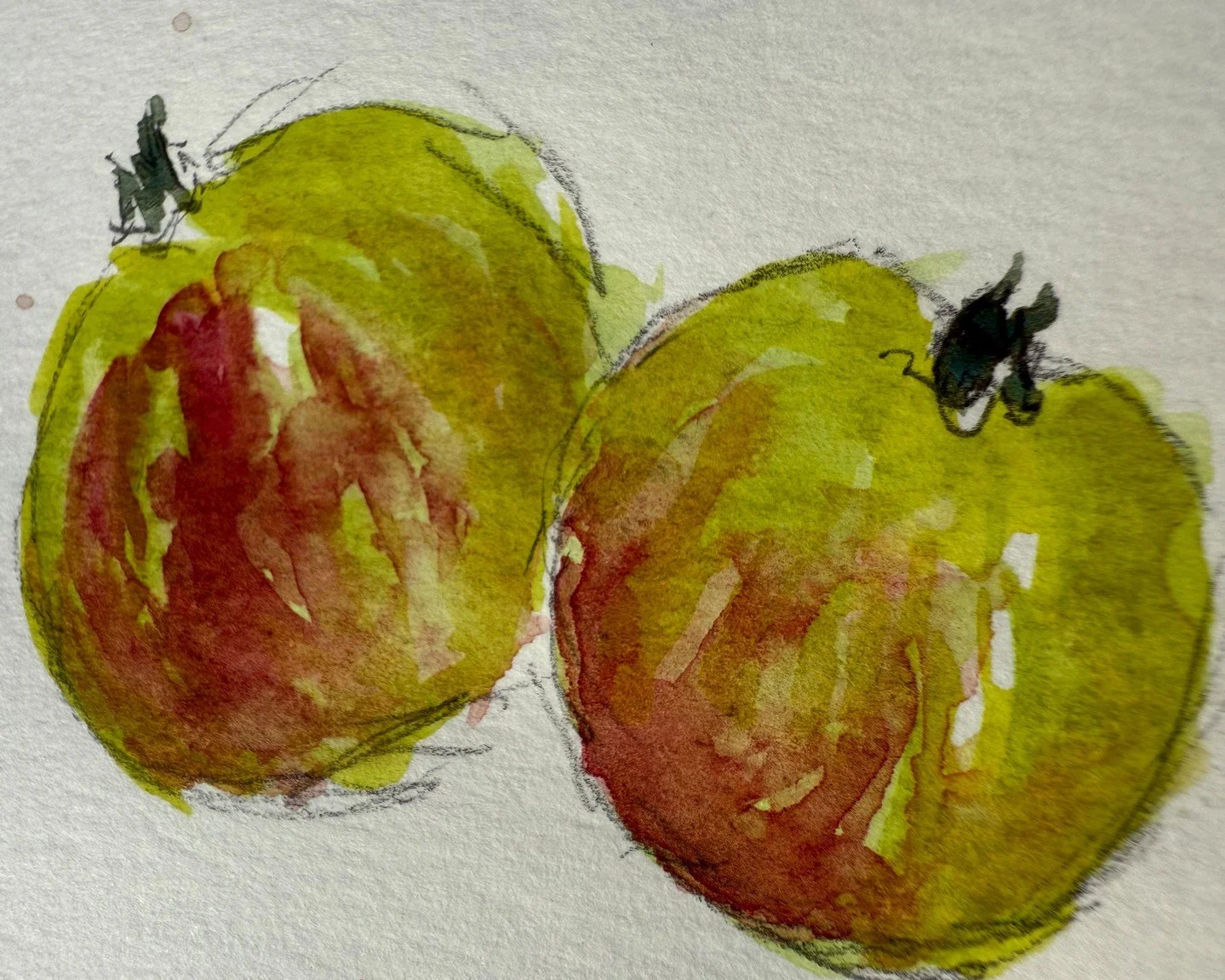 Teaching demo from one of my classes - young apples showing form, light, and that particular translucency that makes them challenging and rewarding to paint.

This is from the final cohort of my year-long mentorship program, Field Sketching; A Year o