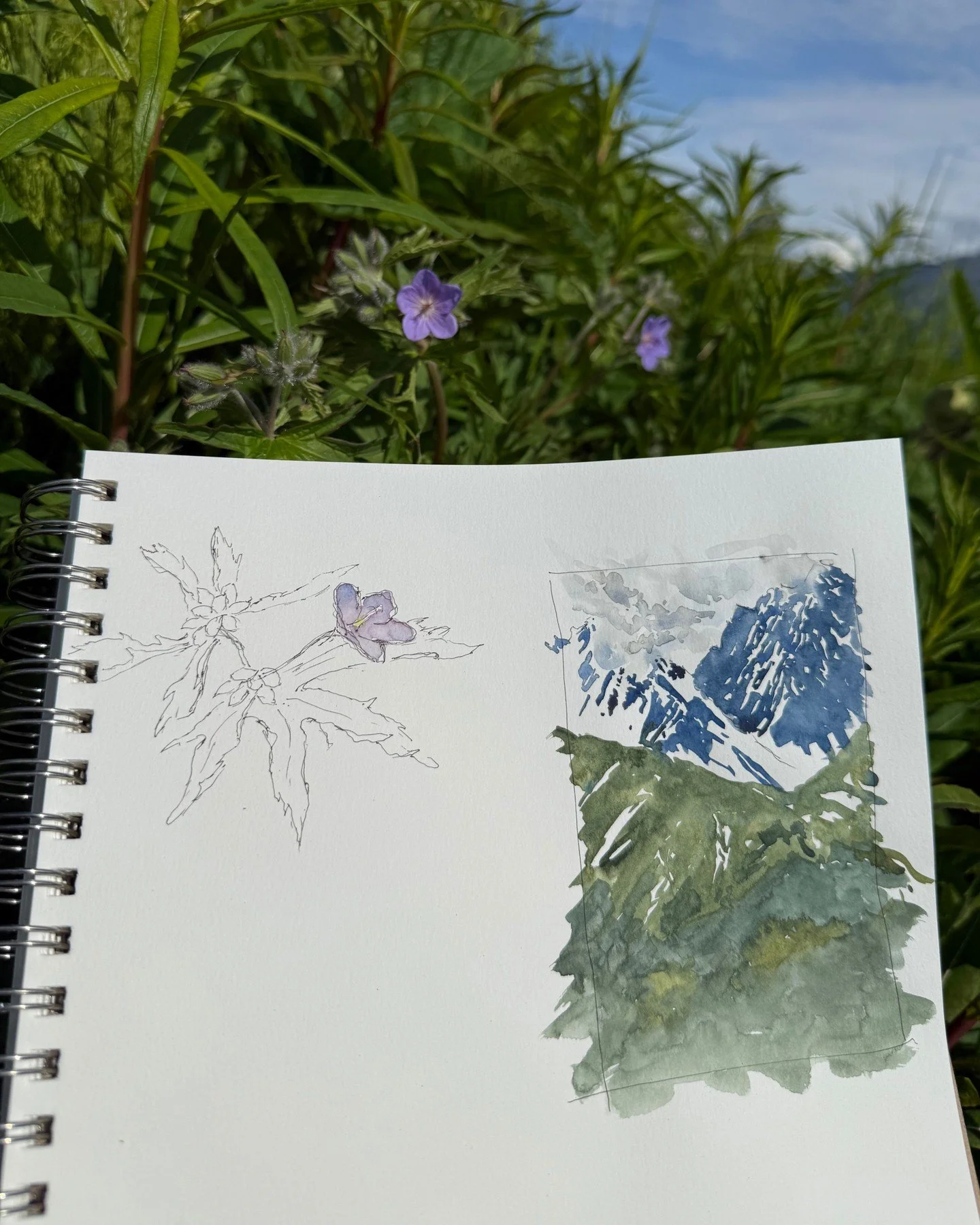 Field journal process - quick compositional sketches alongside color studies. This is how I work through a landscape before committing to a larger piece.

The small watercolor test helps me understand the color relationships and values, while the lin