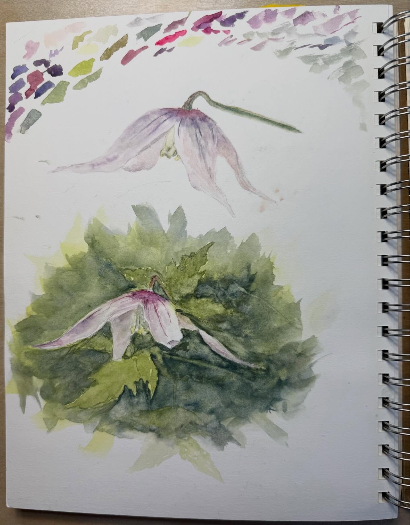 Strong memories of Alaska, each journal page improving and guiding my art practice.

I learned so much about Alaska&rsquo;s landscape and its flora and fauna over the past 5 years.

Soon I can begin making new work from where I am now, post-Alaska, a