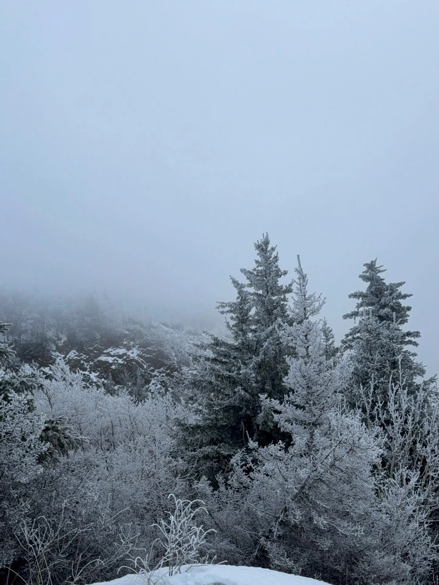 Color study day!

What &ldquo;local color&rdquo; family do you see in each photo? Test yourself then swipe through the slides for my results.

Maybe you can isolate specific colors in a subject by eyeballing. Maybe not. It can be difficult sometimes.