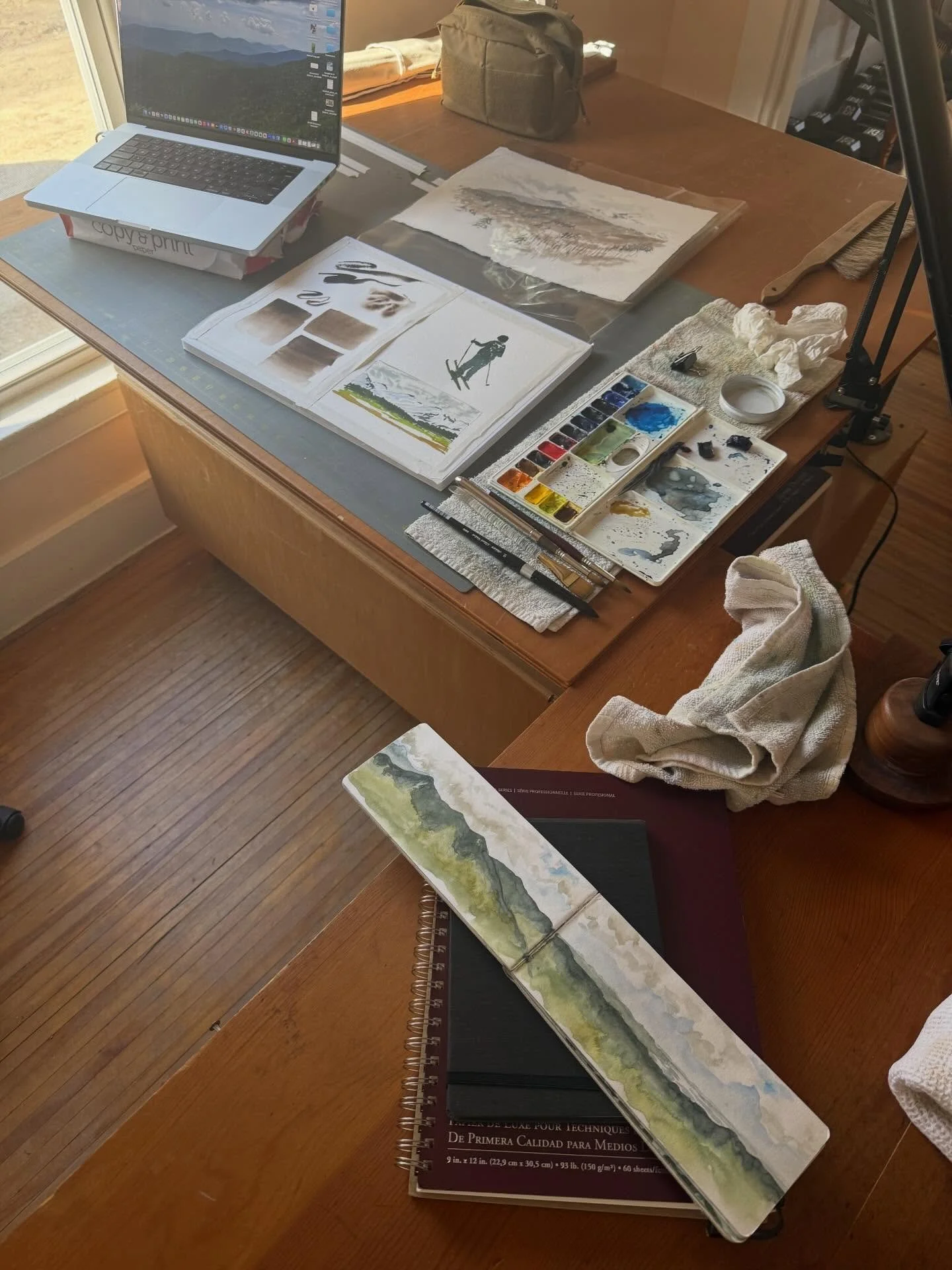 That&rsquo;s a wrap. The 2026 Brush/Pigment/Water/Paper workshop is done.

And it was so much fun!

Guiding folks to a place of better understanding with the tools they use in the practice of #fieldsketching or #naturejournaling is something I deeply
