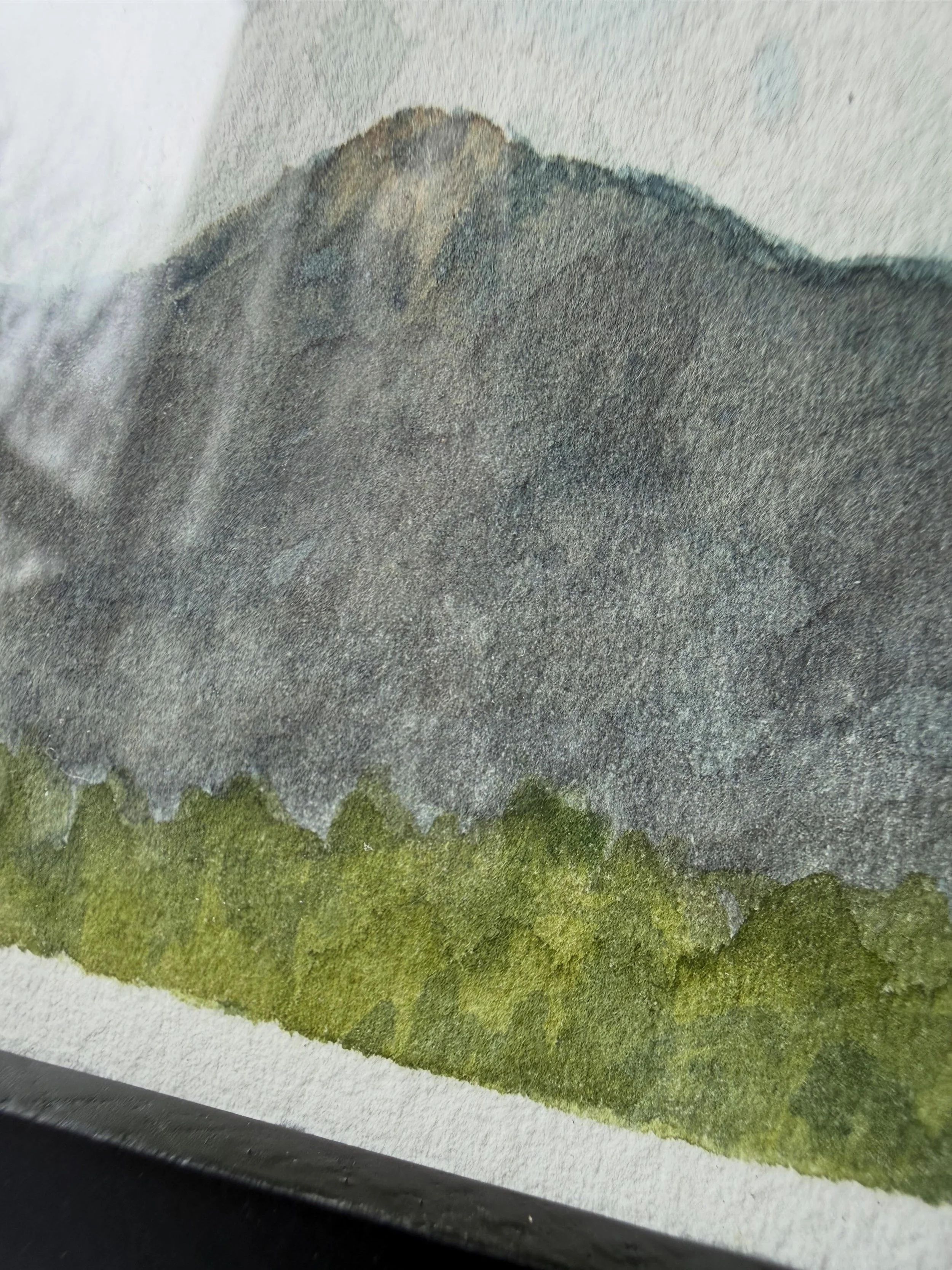 A close look at the brush marks, colors, and shapes in a painting can reveal much of an artist's process.

You probably can't tell that I use large brushes for most of my Little paintings. They help me to carve out shapes and apply color more quickly