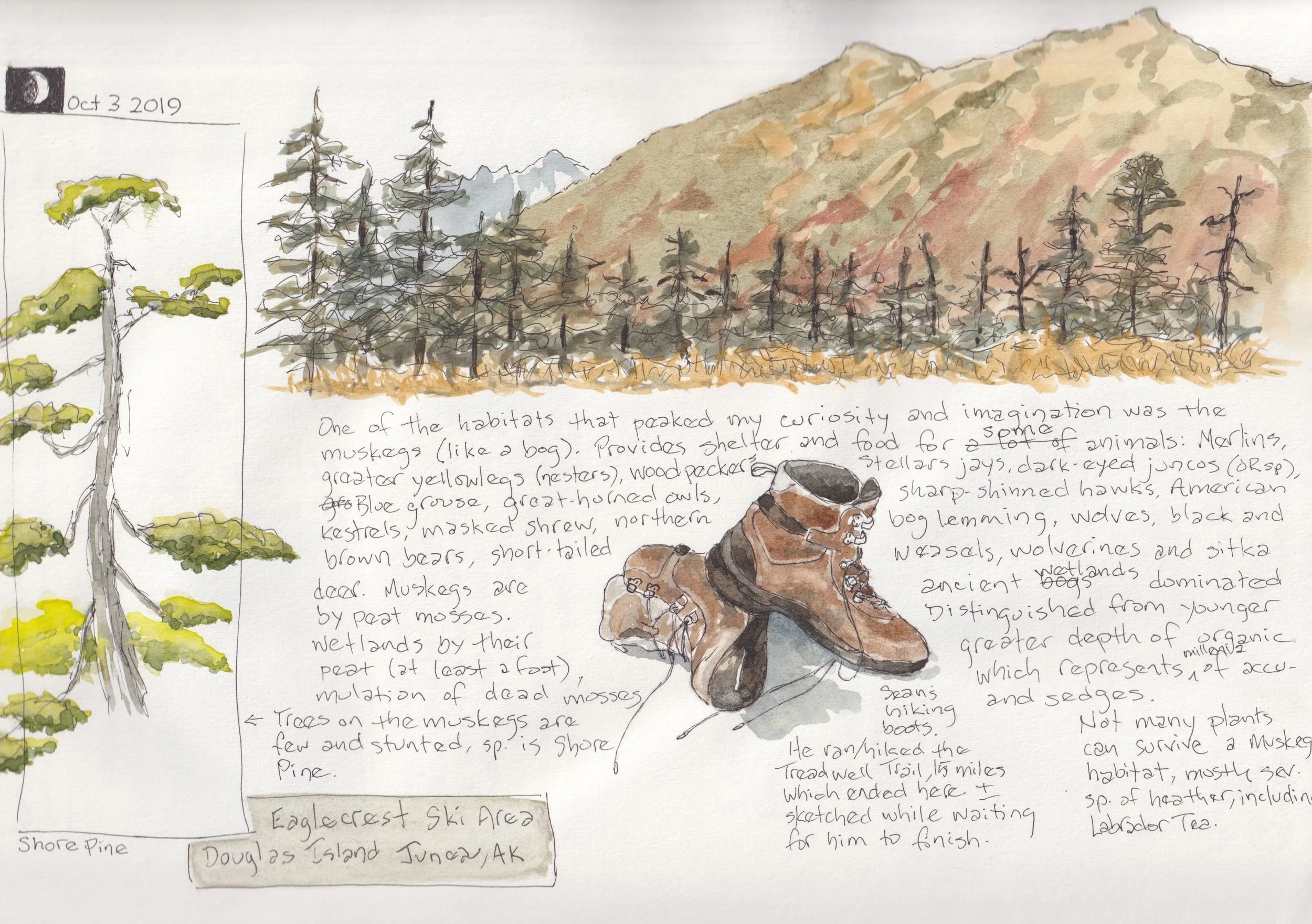 One of my favorite journal pages from Alaska. The memories are still vivid, and part of me can&rsquo;t believe I lived there. I&rsquo;m so glad I have five sketchbooks full of memories from that landscape.

Are you trying to keep a sketchbook of plac