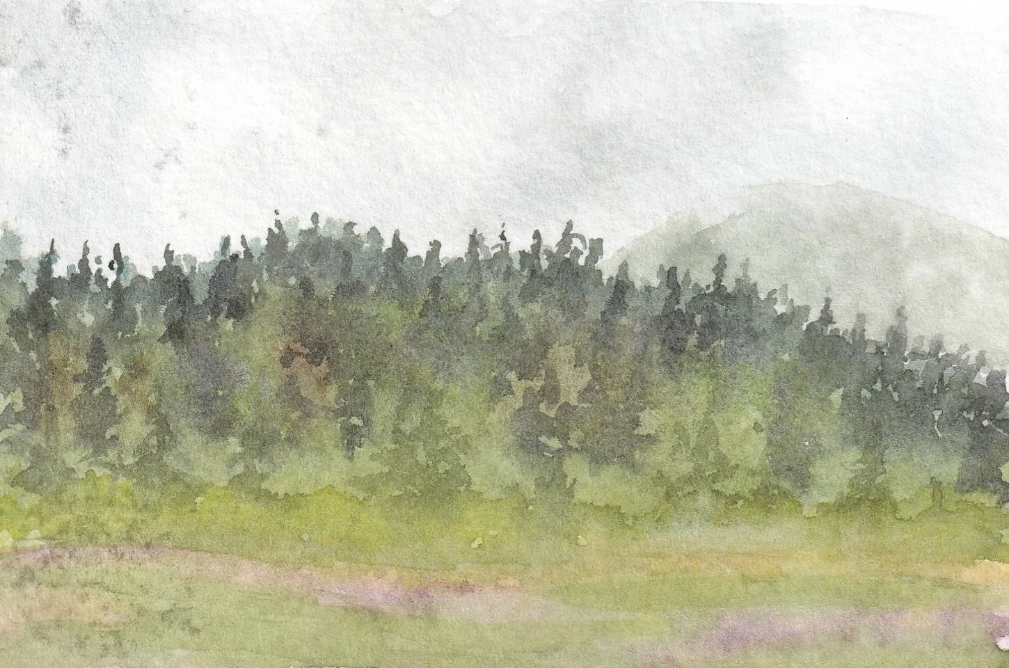 Ray E. Storck Homestead Park 1