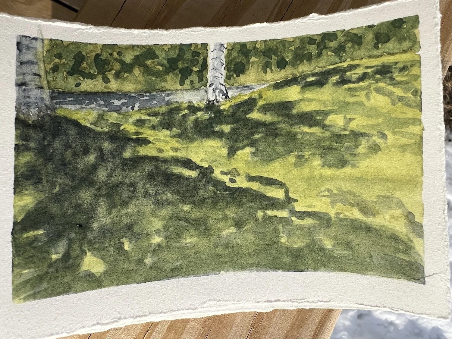 Tony Knowles Coastal Path