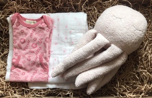 Octopus Baby Gift.jpg