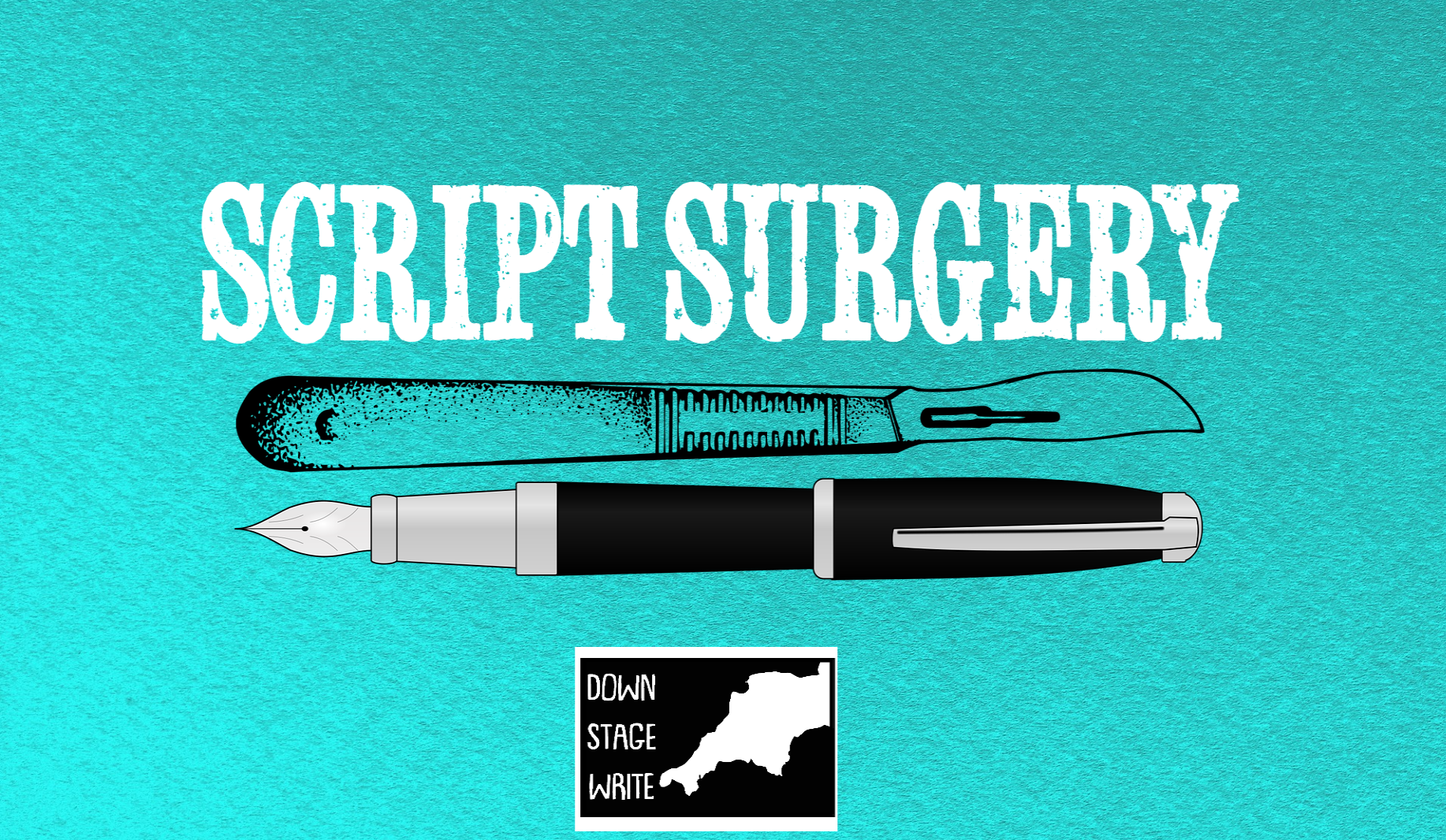 DSW  Script Surgery logo.png