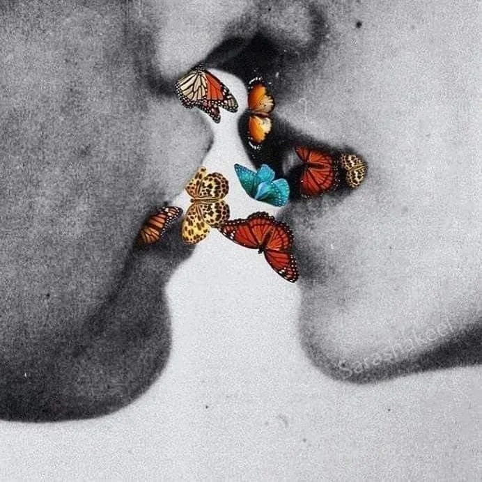 The Butterfly Lovers Finally Share a Bed