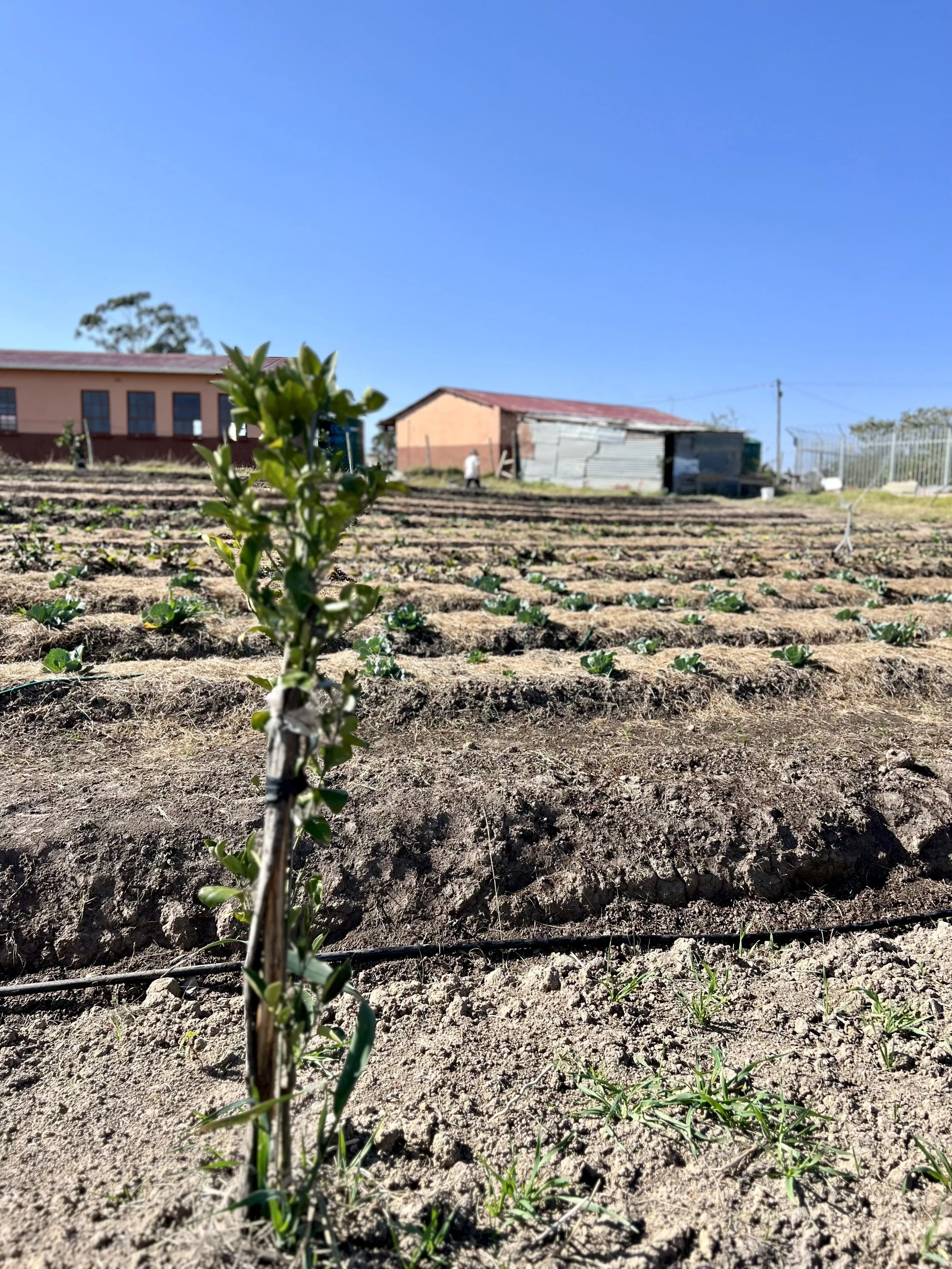 IMG_4844.jpeg