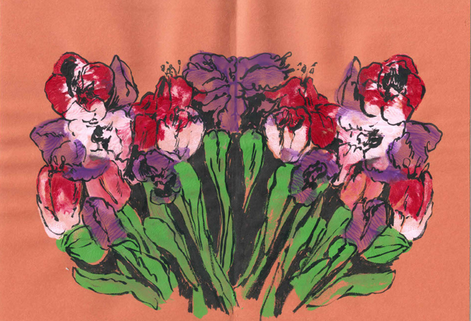 wildflower reflection-4.png