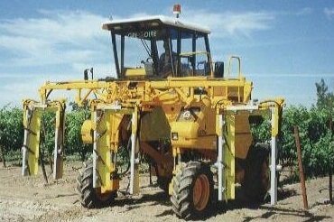 Collard 3 Row Vine Trimmer