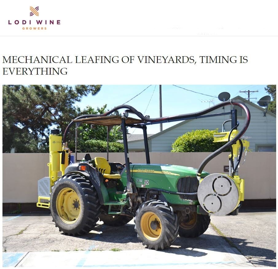 Article image.JPG